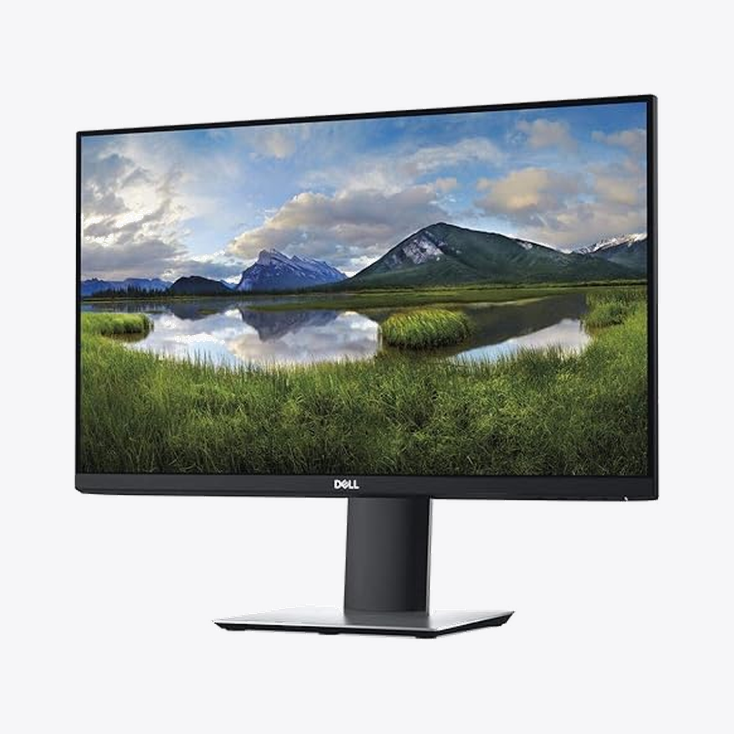 Dell P2419H 24-Inch (Sealed Unit)