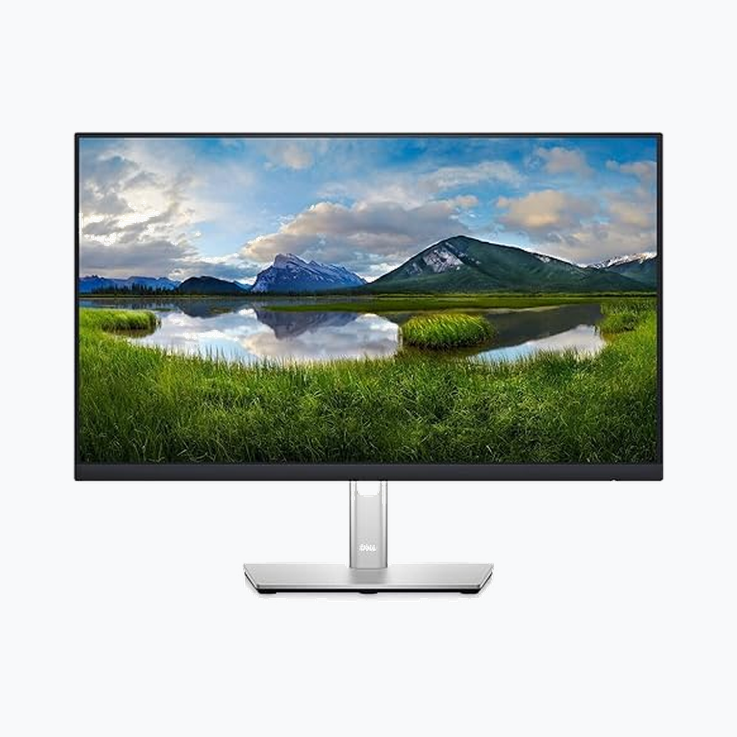 Dell P2422H 24-Inch (Open Box - Demo)